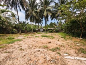 වැලිවේරියෙන් පර්චස් 23.9 වටිනා බිම් කොටසක්