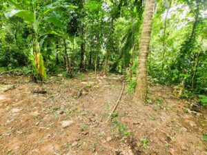 මිනුවන්ගොඩ ප්‍රදේශයෙන් පර්චස් 07