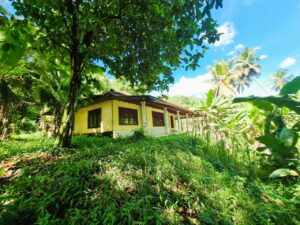  පර්චස් 65 – කාමර 4 සමග නිවස ඉඩමේ වටිනාකමට ඉක්මනින් විකිණීමට.