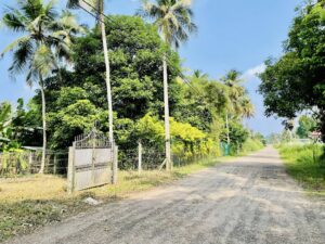 නිට්ටඹුව කලල්පිටිය Prime Zone පර්චස් 12.5 වටිනා ඉඩමක්