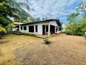 කඩවත වැලිවෙරිය ප්‍රධාන මාර්ගයට මුහුණලා පර්චස් 25 ව්‍යාපාරික ඉඩමක්