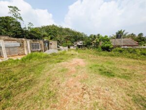 හෝමාගම විලේජ් සිටි වෙන්දේසි ඉඩමේ බිම් කොටස් 03 ක්