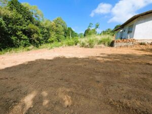 නිට්ටඹුව රන්පොකුනගම පර්චස් 12.5 වටිනා ඉඩමක් විකිණීමට