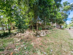 කඩවත – රාජසිංහ මාවත පර්චස් 12.5 වටිනා ඉඩමක් විකිණීමට