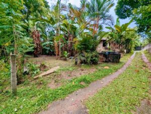 ගම්පහ ශ්රී බෝධි පාර පර්චස් 12 ක වටිනාකමක් ඇති ඉඩමක් විකිණීමට