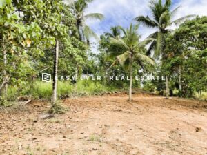 💎 ගම්පහ – කිරිඳිවැල | වටිනා නේවාසික ඉඩම 🏡