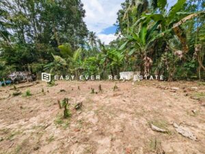 🌿🏥 වතුපිටිවල ආයෝජන කලාපයට ආසන්නයෙන් වටිනා ඉඩමක් විකිණීමට