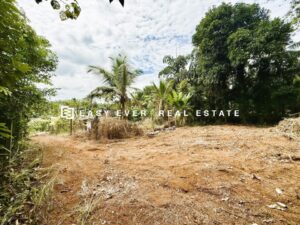 👇  🏡 කිරිඳිවැල – ගම්පහ වැලිවේරිය ප්‍රධාන බස් මාර්ගයන්ට ඇවිද යන දුරින් වටිනා නේවාසික ඉඩමක්