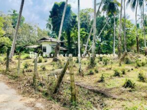 මිනුවන්ගොඩ කලවාන ප්‍රදේශයෙන් පර්චස් 27 ක නේවාසික ඉඩම විකිණීමට.