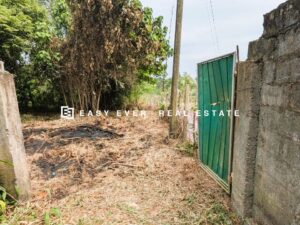 ගම්පහ බුලත්කඩේ හංදියට ලගින් පර්චස් 163 තැනිතලා ඉඩමක් විකිණීමට