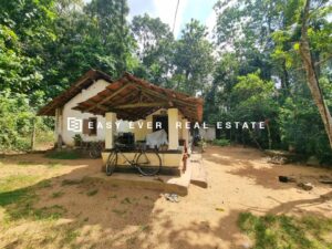 🤗 පර්චස් 65 | ලක්ෂ 45 – මීරිගම / කොටදෙණියාව 🤗