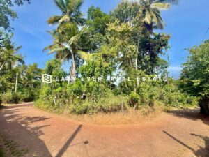 🏡 නුවර – කොළඹ ප්‍රධාන මාර්ගයට ආසන්නව වටිනා නේවාසික ඉඩමක් විකිණීමට