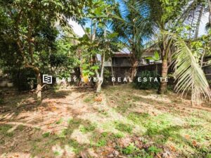 🚌🌿 නිට්ටඹුව – වතුපිටිවල වටිනා ඉඩමක් විකිණීමට 🌿