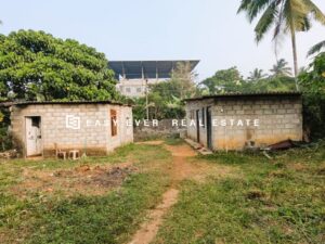 🏡 නිට්ටඹුව – එල්ලක්කළ දැනටමත් ආදායම් ලැබෙන වටිනා දේපලක් විකිණීමට