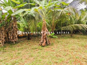 🔥 PRIME LAND FOR SALE – NITTAMBUWA | PINNAGOLLA 🔥