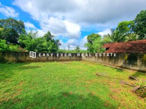 නිට්ටඹුව උදම්මිට ප්‍රදේශයෙන් පර්චස් 19.5 ක තැනිතලා ඉඩමක් විකිණීමට