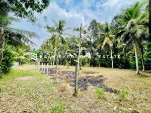 මිනුවන්ගොඩ පර්චස් 22.4 නේවාසික බිම් කොටස් 2 ක් විකිනීමට