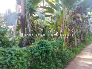🌴 Prime Land for Sale – Hikkaduwa (Thiranagama Tourism Zone) 🌴