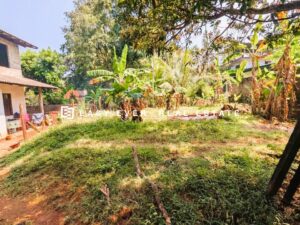 🌟 කඩවත – ඇල්දෙණිය | අඩුම මිලට සුපිරිම ආයෝජනයක්! 🌟