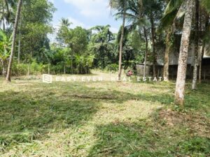 🏡 ගම්පහ – යක්කල | වටිනා නේවාසික බිම් කොටසක් විකිණීමට