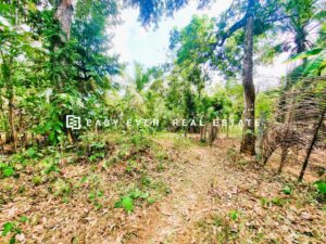 ✨ ලක්ෂ 11ට නිට්ටඹුව – වතුපිටිවල පර්චස් 6 ඉඩම ✨