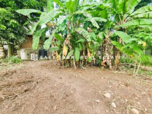 වැලිවේරිය නාරංවල ප්‍රදේශයෙන් පර්චස් 11.9 වටිනා බිම් කොටසක් විකිණීමට