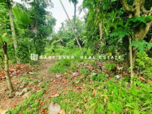 🏡 වේයන්ගොඩ | පර්චස් 12.5 වටිනා බිම් කොටස 🌿