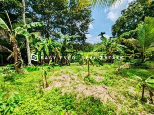 🏡💎 උඩුගම්පොළ වෙල්යායකට මායිම් වූ නිරවුල් ඉඩමක් විකිණීමට 🌿