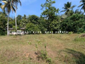 💎🏡 LUXURY INVESTMENT LAND FOR SALE