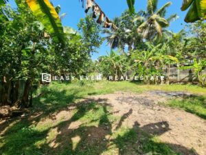 🌟 කඩවත – පරකන්දෙනියෙන් සුපිරි ඉඩමක් විකිණීමට 🌟