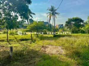 🏡 යක්කලින් – පදිංචියටත් ආයෝජනයටත් අගනා බිම් කොටසක් විකිණීමට!