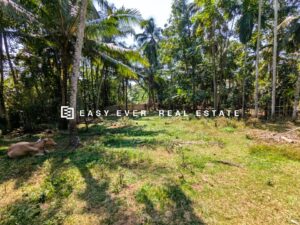 🌟 අතුරුගිරිය – මුල්ලේගමෙන් සුපිරි ඉඩම් කොටස් 02 ක් විකිණීමට 🌟