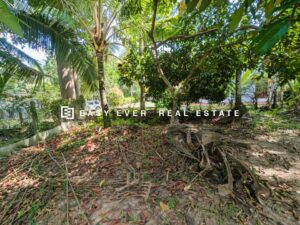 කඩවත ඉඹුල්ගොඩ වටිනා ඉඩමක් විකිණීමට