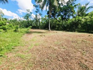 🏡 නේවාසික ඉඩමක් විකිණීමට – මිනුවන්ගොඩ | මාබෝදල 🏡