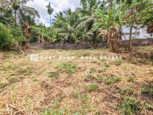 📍 නිට්ටඹුව – එල්ලක්කල වෙන්දේසි ඉඩමකින් ඉතාමත් සුන්දර බිම්කොටසක් විකිණීමට