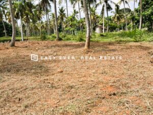 ගම්පහ – උඩුගම්පොල පර්චස් 15.6 නේවාසික බිම් කොටසක්