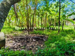 කිරිබත්ගොඩ – මාකොළ  පර්චස් 15 වටිනා ඉඩමක් 🌳