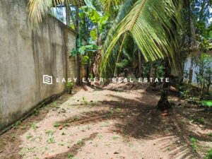 ✝️⛪ රාගම – තේවත්ත පල්ලිය අසල | ලාංකා මාතා පාරට මුහුණලා බිම්කොටස 🌿