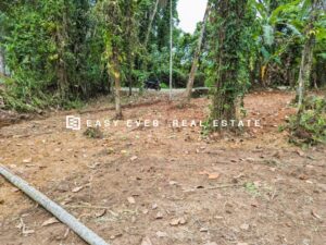 📌🌿 ගම්පහ – යාගොඩ පර්චස් 30 වටිනා ඉඩමක් විකිණීමට