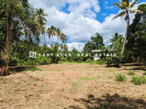 🥥 වටිනා පොල් ඉඩම සහ නිවස විකිණීමට – කලගෙඩිහේන 🥥