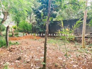 🌆💢 යක්කල නගර මධ්‍යයේ වටිනා බිම් කොටසක් විකිණීමට