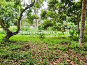 🌳 කිරිදිවැල – රතඹලේ, රඹුටන්වත්ත | වටිනා බිම් කොටසක් විකිණීමට 🏡