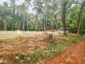 🏡 වේයන්ගොඩ – Highway පිවිසුමට අසන්න වටිනා ඉඩමක් විකිණීමට