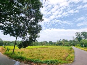 වතුපිටිවල රෝහලට හා ආයෝජන කලාපයට ළගින් ඉඩමක්