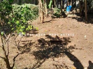 🎯 නුවර – පල්ලෙකැලේ ජාත්‍යන්තර ක්‍රීඩාංගනය ආසන්නයෙන් පර්චස් 20 නේවාසික බිම් කොටසක් විකිණීමට 🏡