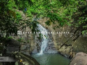 🏞️🔥 නිට්ටඹුව අල්ගම – දිය ඇල්ලට මායිම් ආදායම් ලබන ඉඩමක් විකිණීමට 🔥🏞️