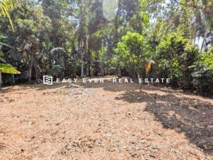 🏡 කිරිඳිවැල නගරයට නුදුරින් නිදහස් වටපිටාවක වටිනා බිම් කොටසක් විකිණීමට