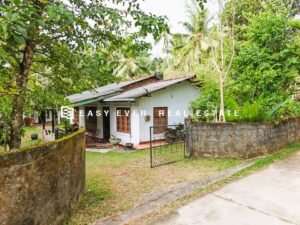 🌟 නිට්ටඹුව – වතුපිටිවල ආයෝජන කලාපයට අසල අගනා ආයෝජන දේපලක්! 🌟