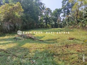 🌱 වටිනා නේවාසික ඉඩමක් – යක්කල වීදිය වත්ත 🌱