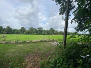 Land for sale in Nittambuwa